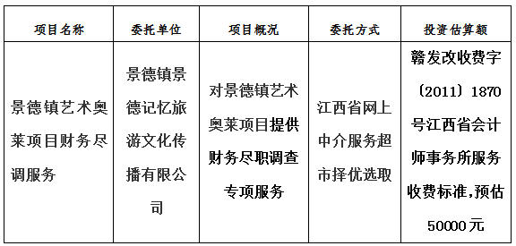 景德鎮藝術奧萊項目財務盡調服務計劃公告